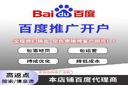 百度SEO推广案例：实战解析与效果展示